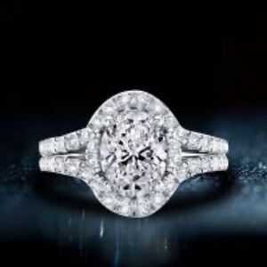 NWT-Halo Oval Split Shank Engagement Ring